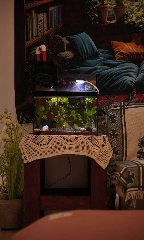 Sister's Room 4