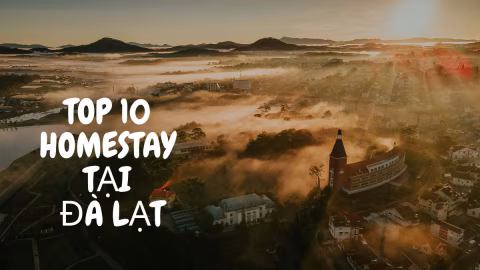 Top 10 homestay Đà Lạt view đẹp, gần chợ đêm 2026