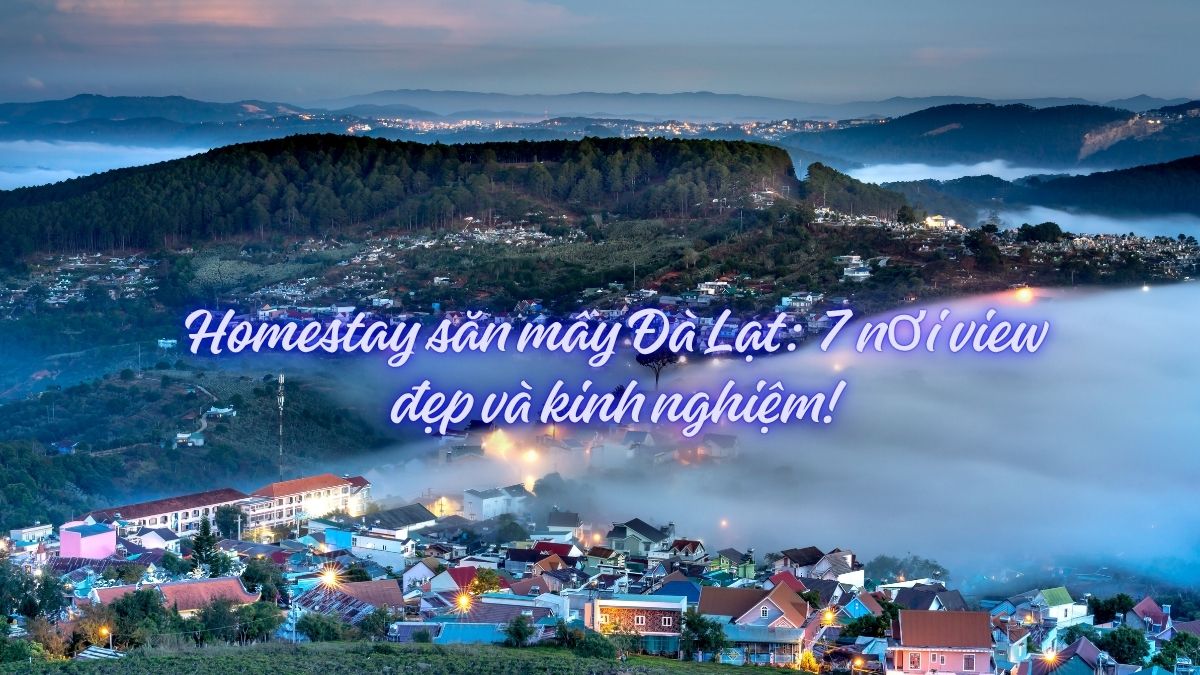 Homestay săn mây Đà Lạt: 7 nơi view đẹp và kinh nghiệm