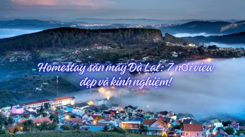 Homestay săn mây Đà Lạt: 7 nơi view đẹp và kinh nghiệm