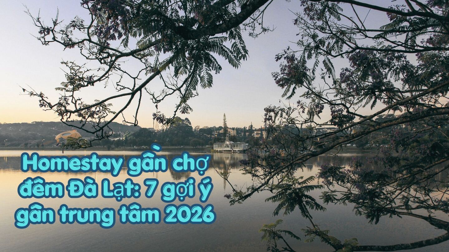 Homestay gần chợ đêm Đà Lạt: 7 gợi ý gần trung tâm 2026
