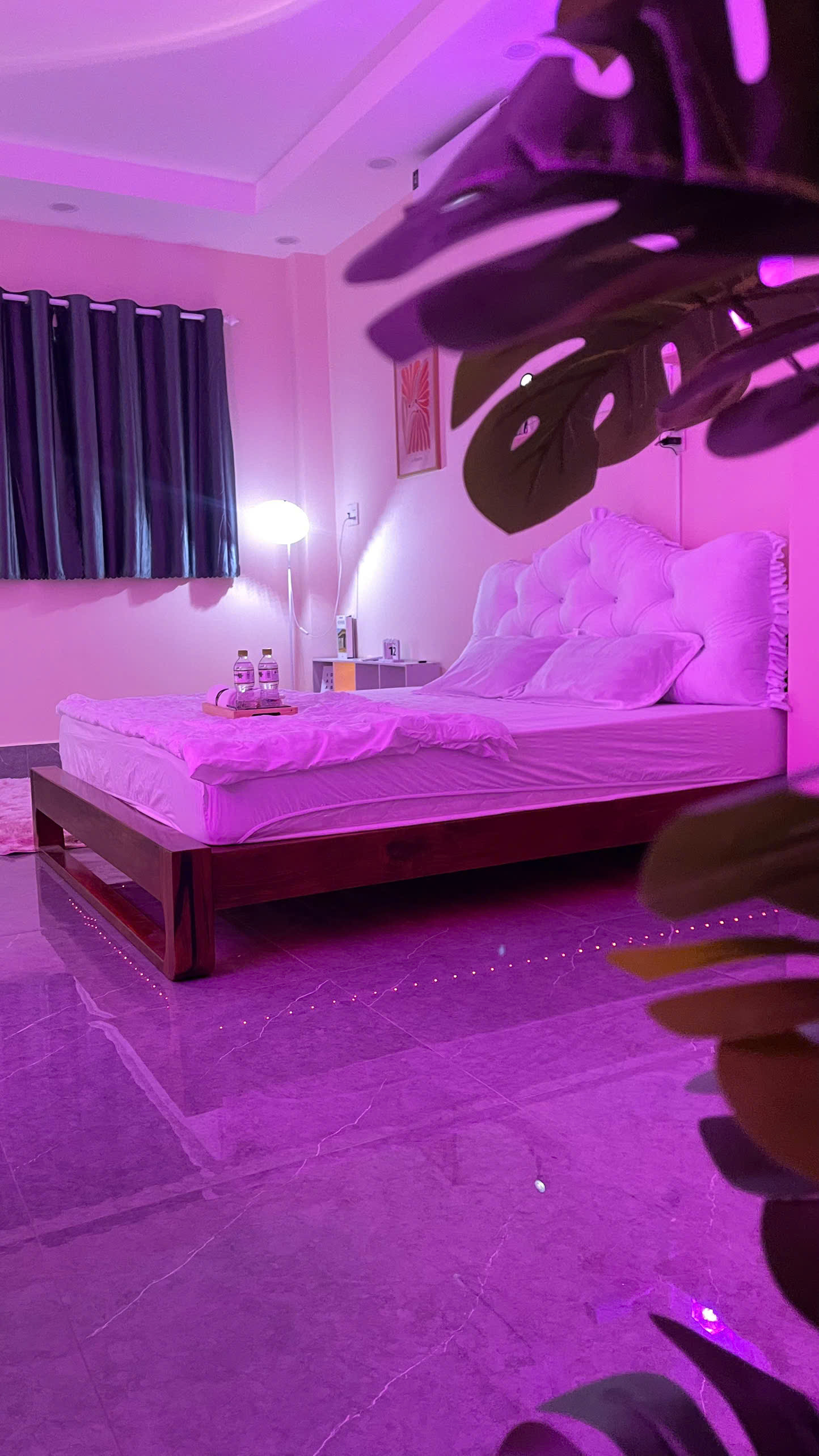PINKY 6