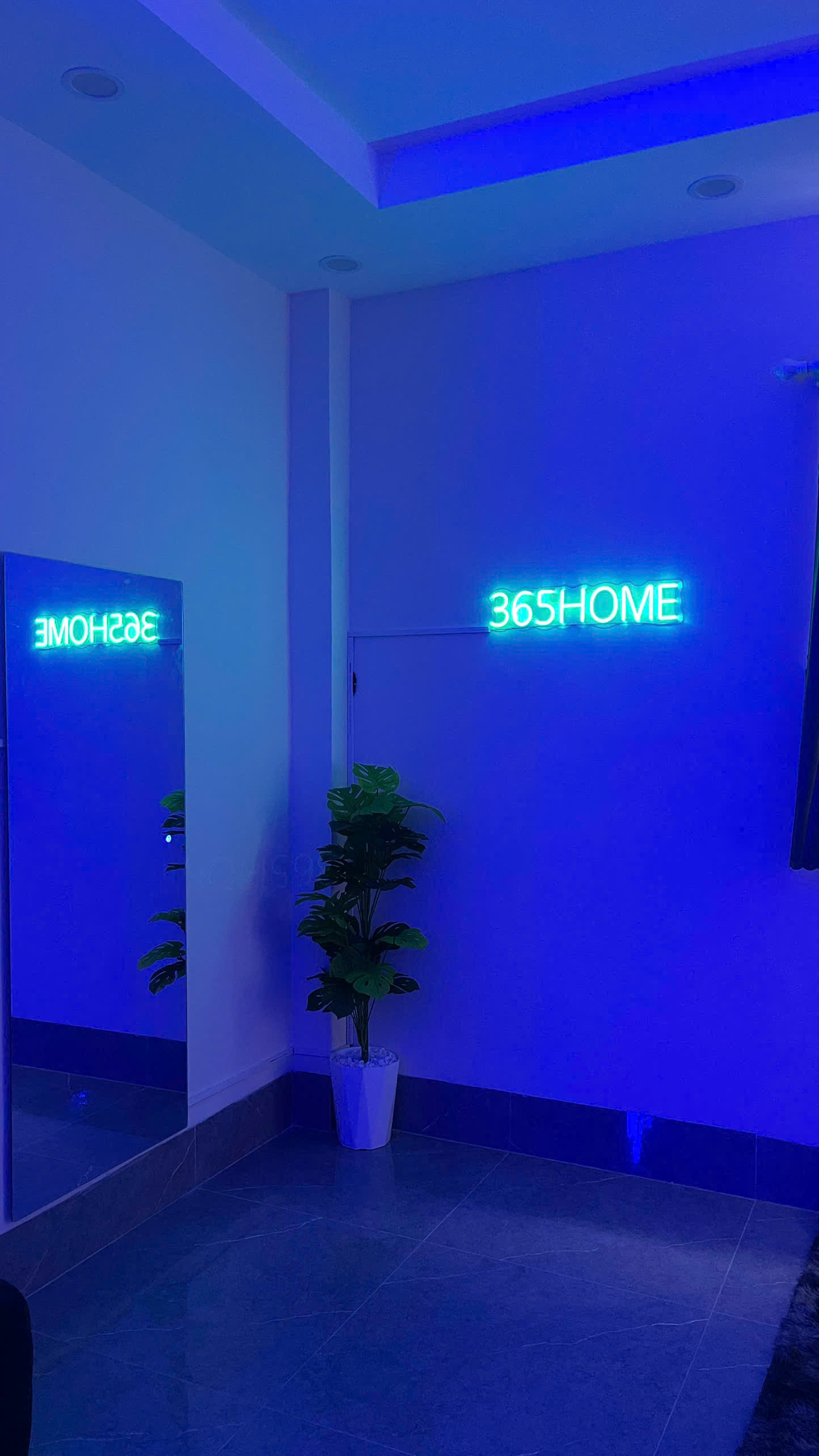 NEON 5