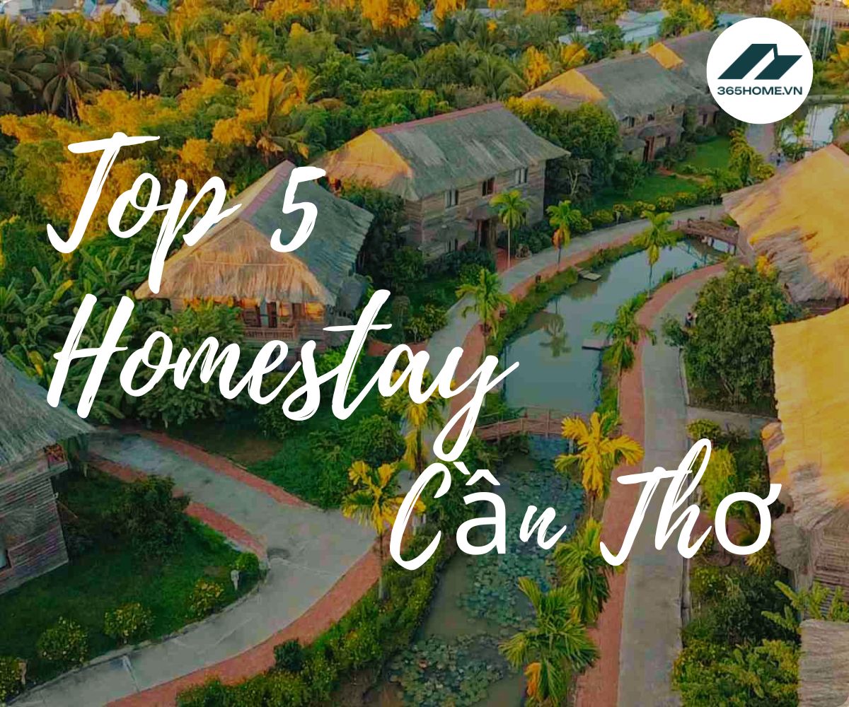 Top 5 Homestay Cần Thơ đẹp nhất định phải check-in