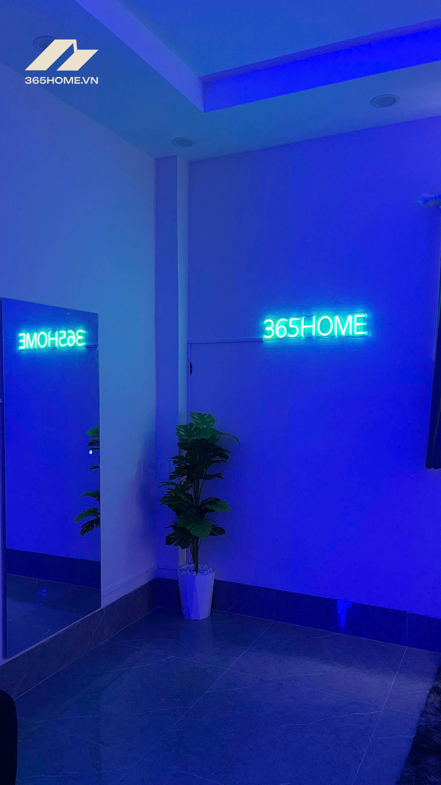 365home