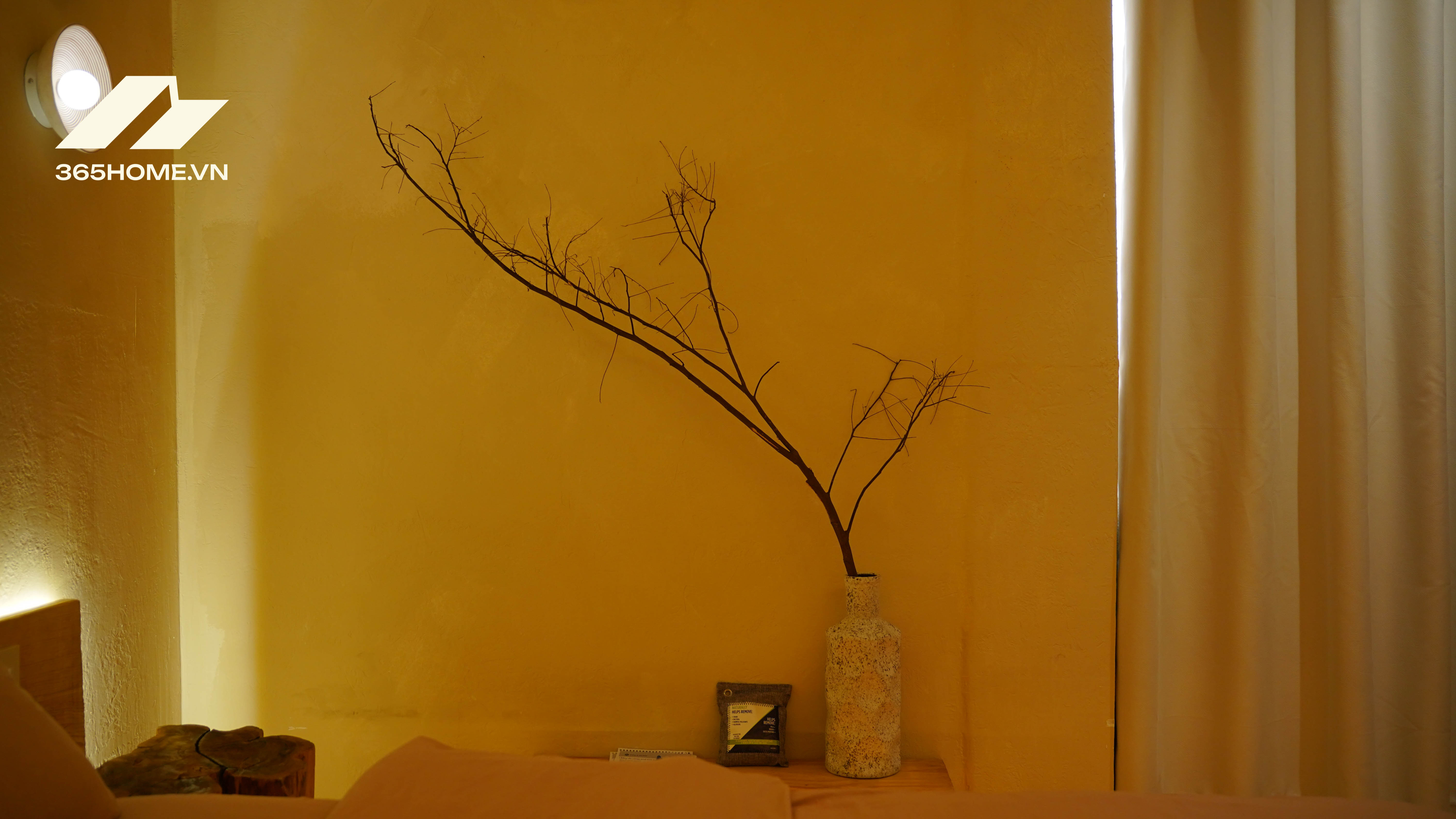 365home