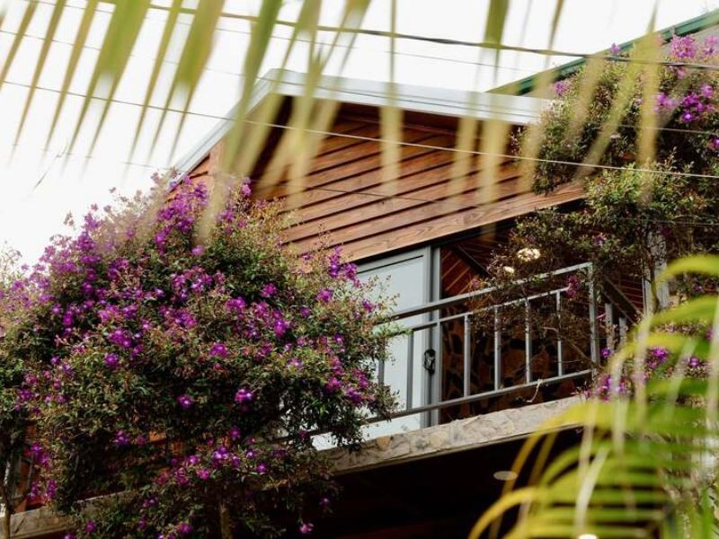 homestay Đà Lạt view thung lũng săn mây gần trung tâm