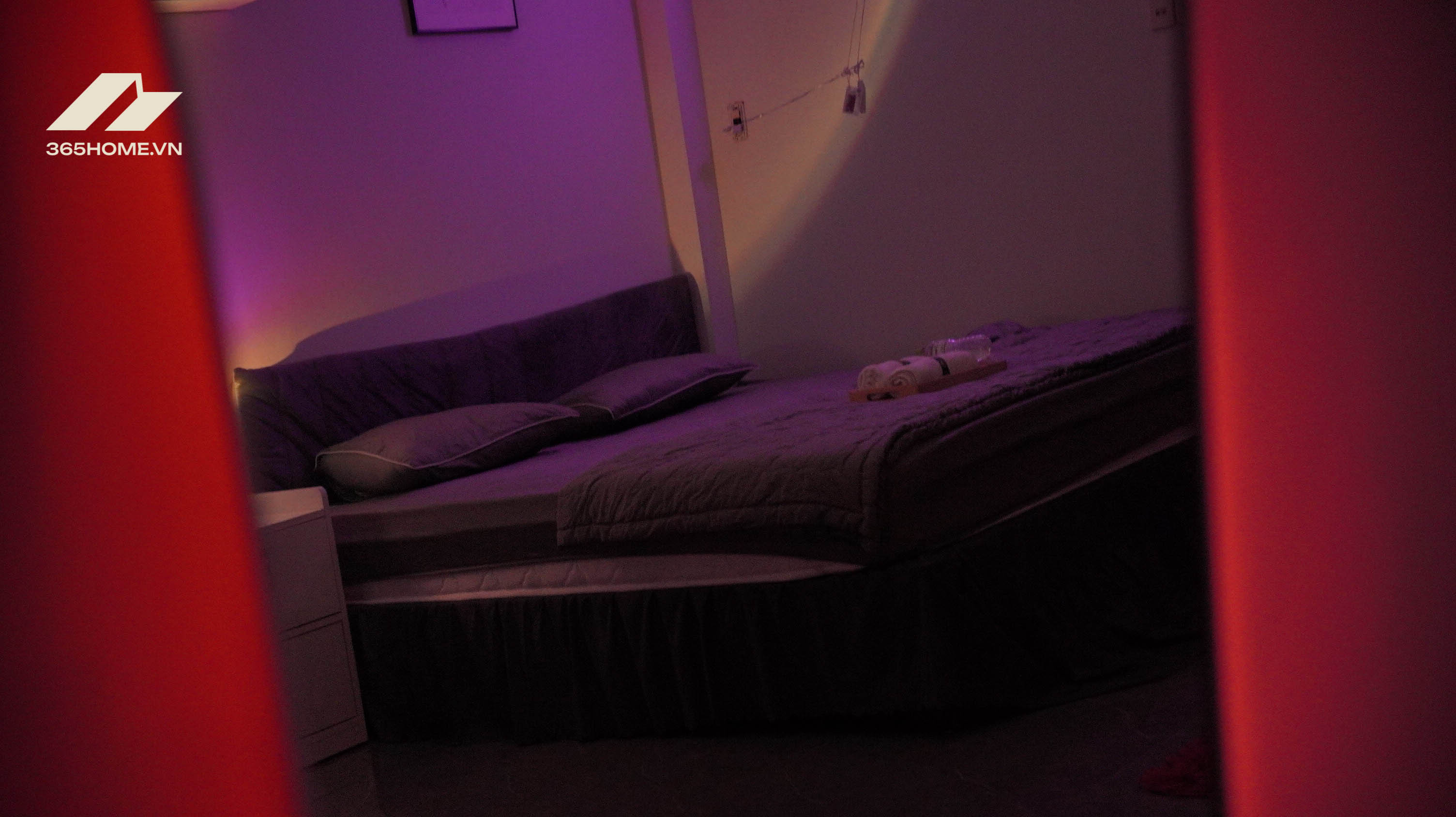 365home