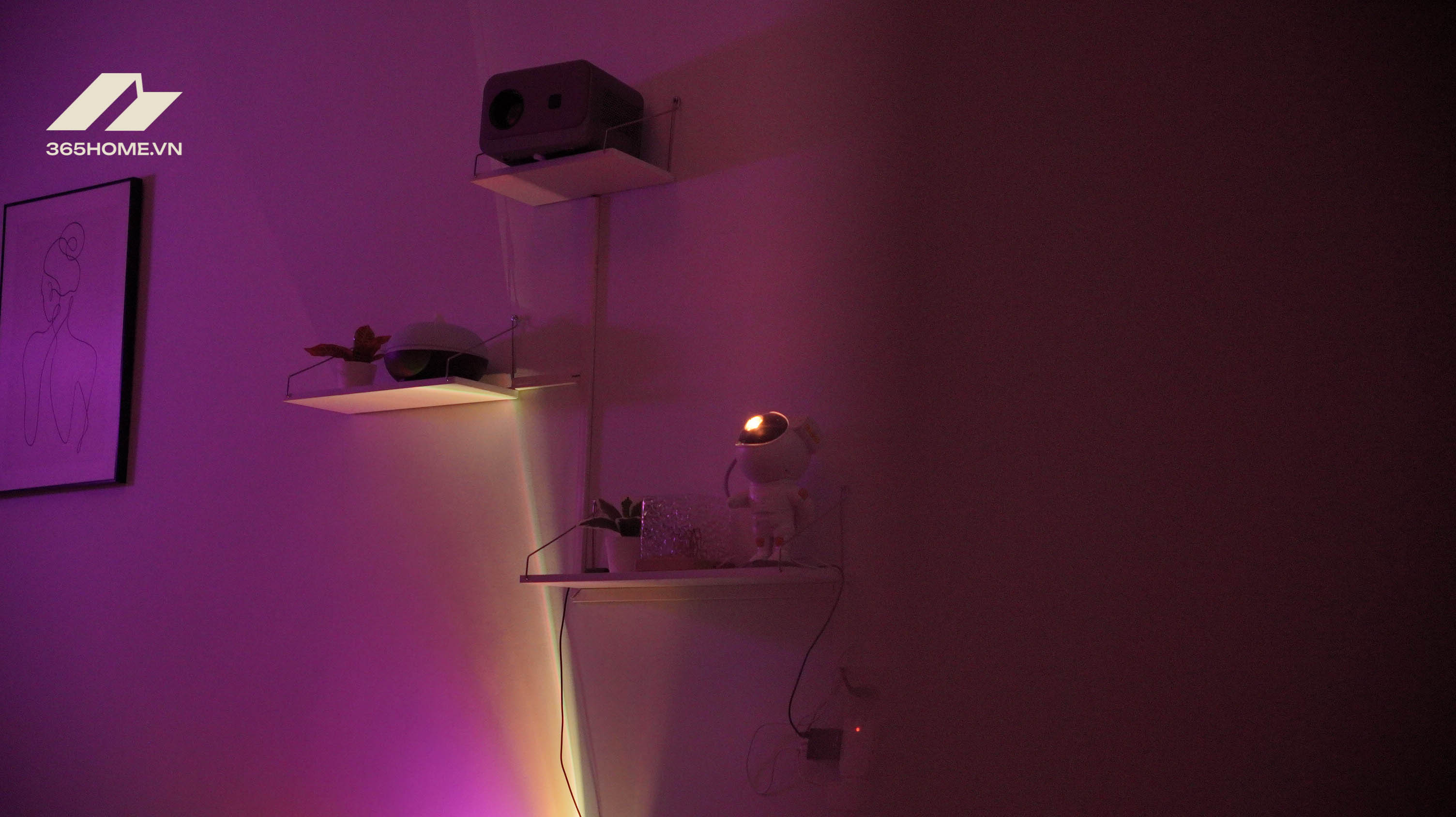 365home